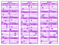 Purple 3 Year Calendar - 2032 - 2033 - 2034